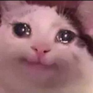 Meet your Posher, Tamara